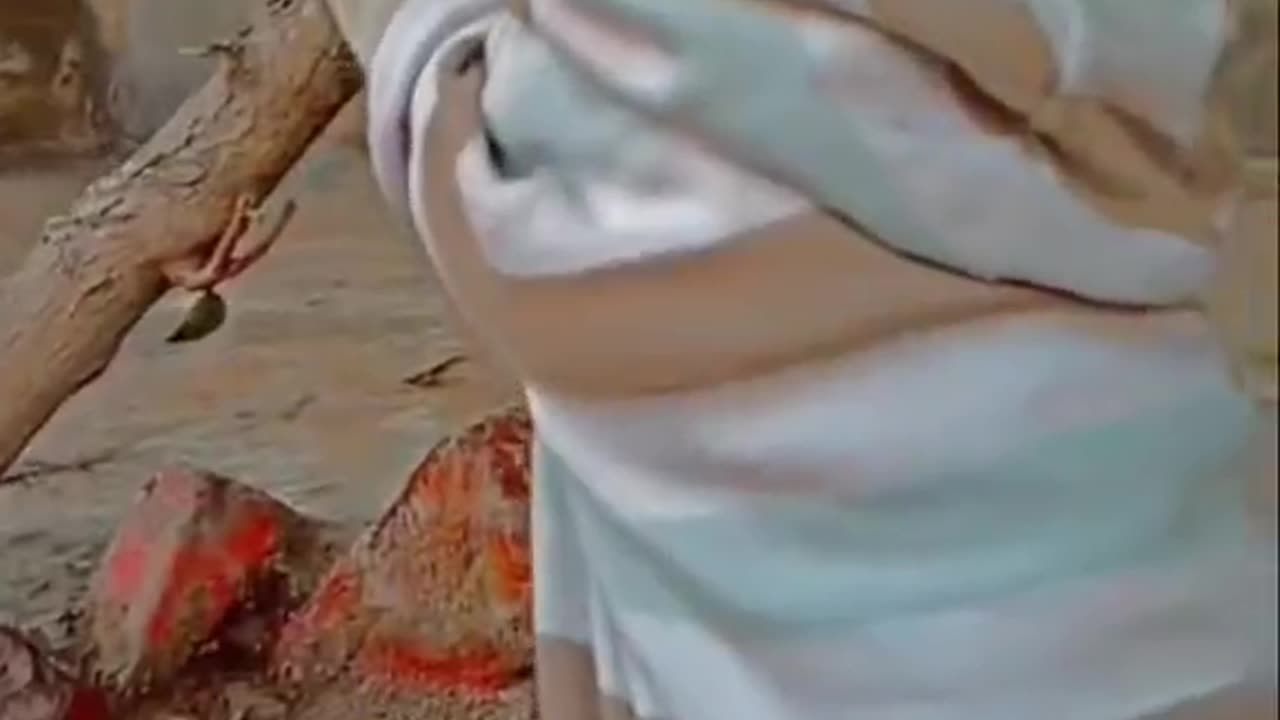 Cute and funny cat video.