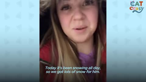 Indoor Cat Obsessed With Snow Begs His Mom To Go Outside Every Day | The Dodo