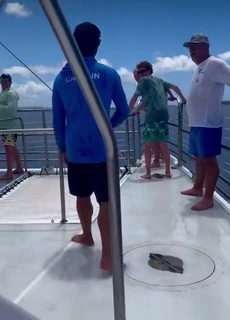 Skipper of the Swells: Fluidity in Motion