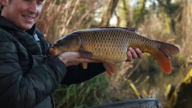 Phil on the method feeder, anyone get a bend in the rod recently