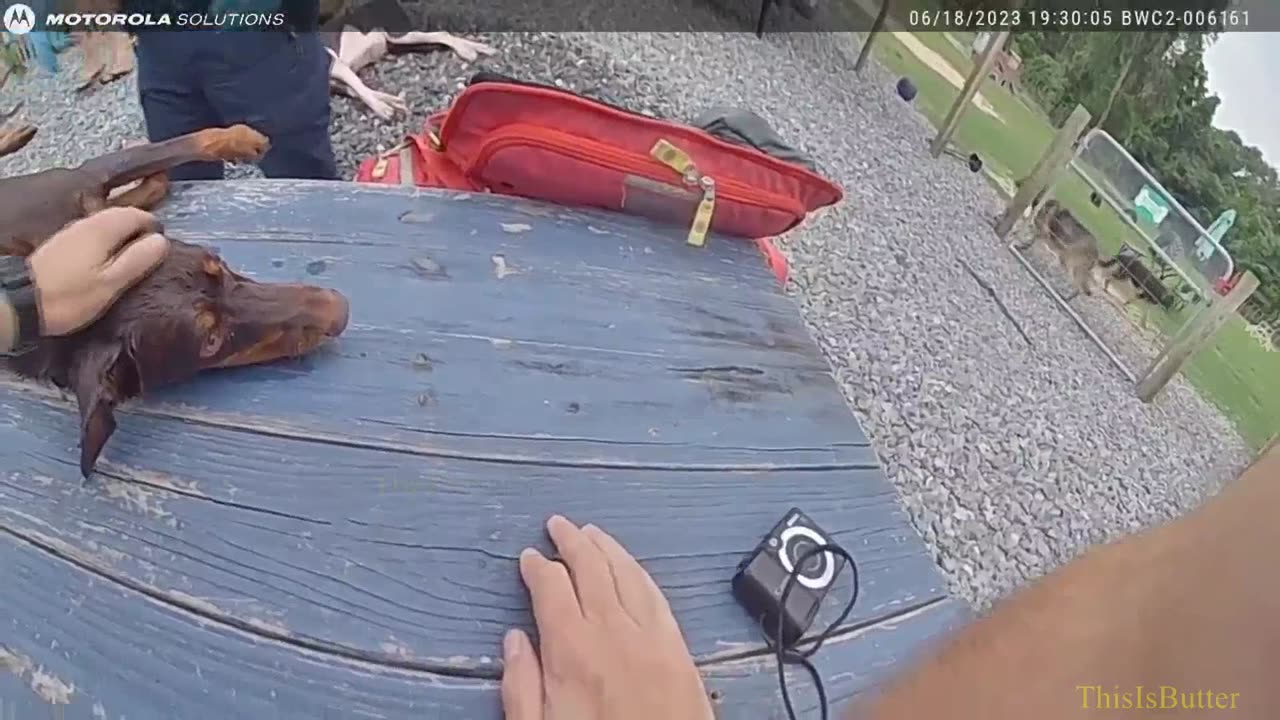 Bodycam video sheds light on scene where 12 dogs died after AC failure in North Florida