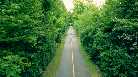 Beautiful Nature forest video in 4k