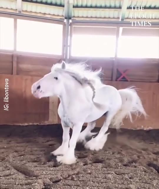 Anti-Loosh Video Number 129. LOOSH is real and bad. Explained below and watch the video