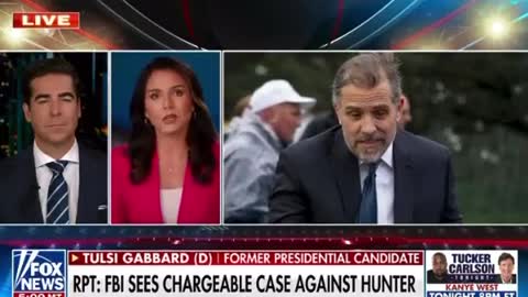 Tulsi Gabbard on the Hunter Biden scandal
