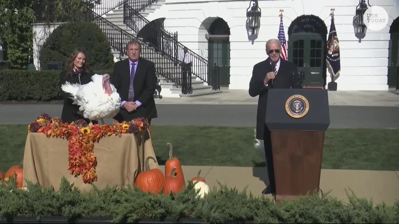 Joe Biden pardons turkeys Chocolate, Chip in Thanksgiving tradition | USA TODAY