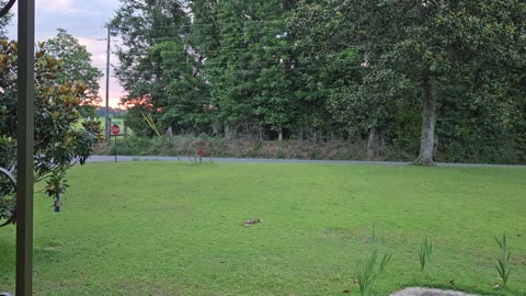 GSG Porch Report 270623