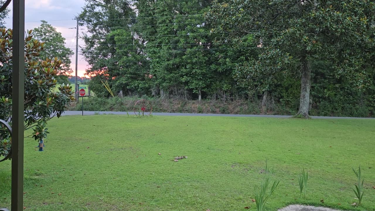 GSG Porch Report 270623