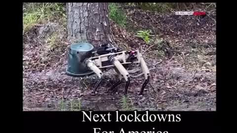 Next lockdowns