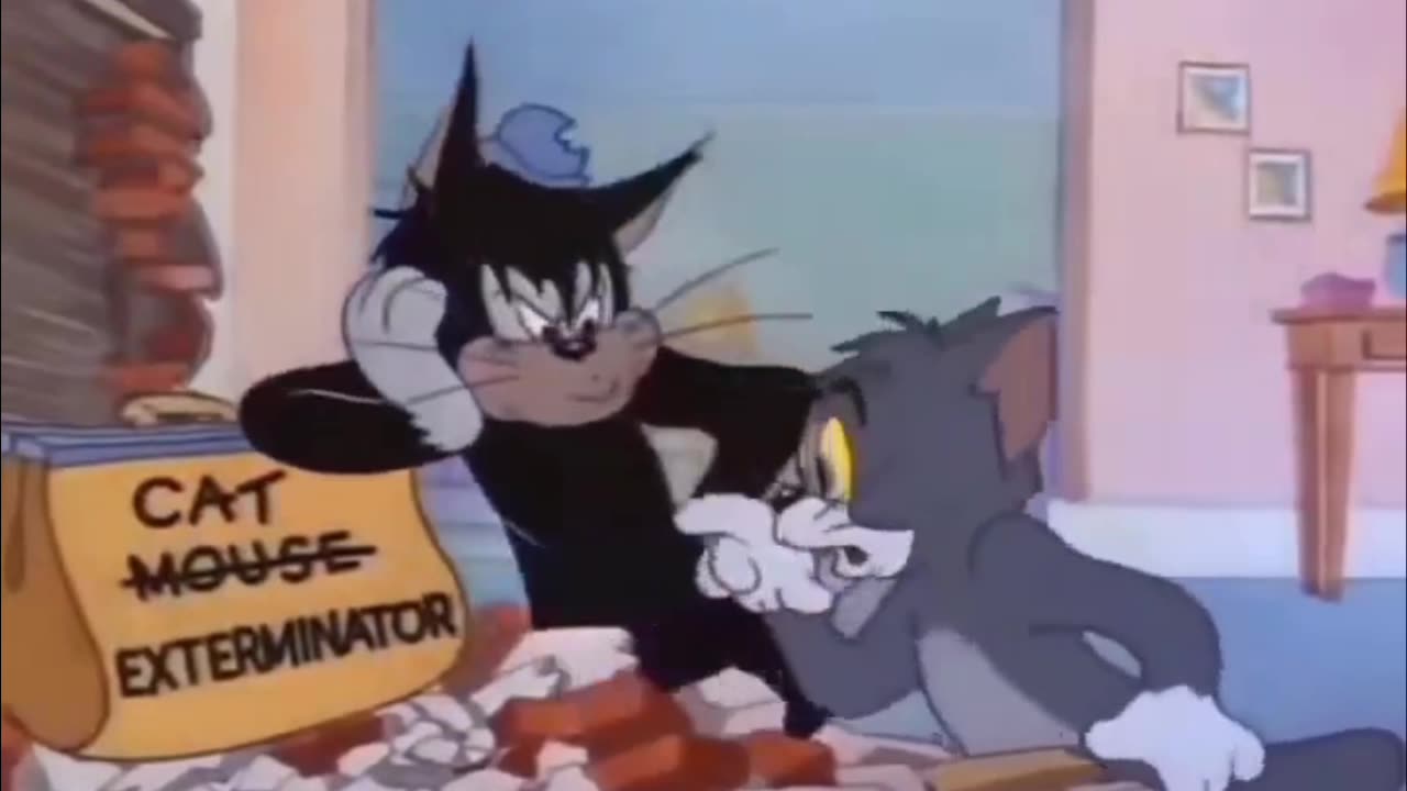 Tom, Jerry, and Black Cat