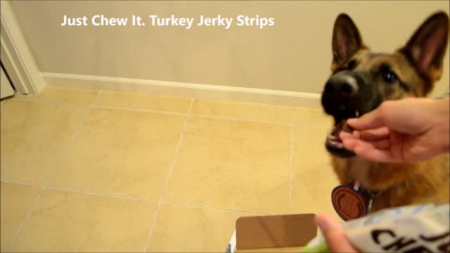 German Shepherd Puppy Dog Barkbox Large Dog July Unboxing Review