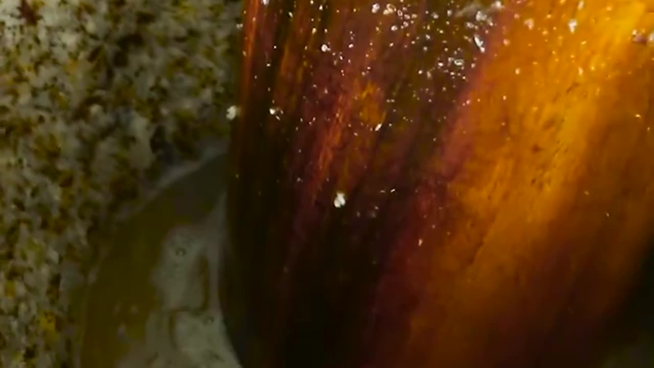 Natural Coconut Oil Making