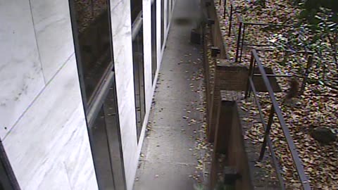 1457HSOB01GroundSoutheast_2021-01-06_11h04min05s160ms.mp4
