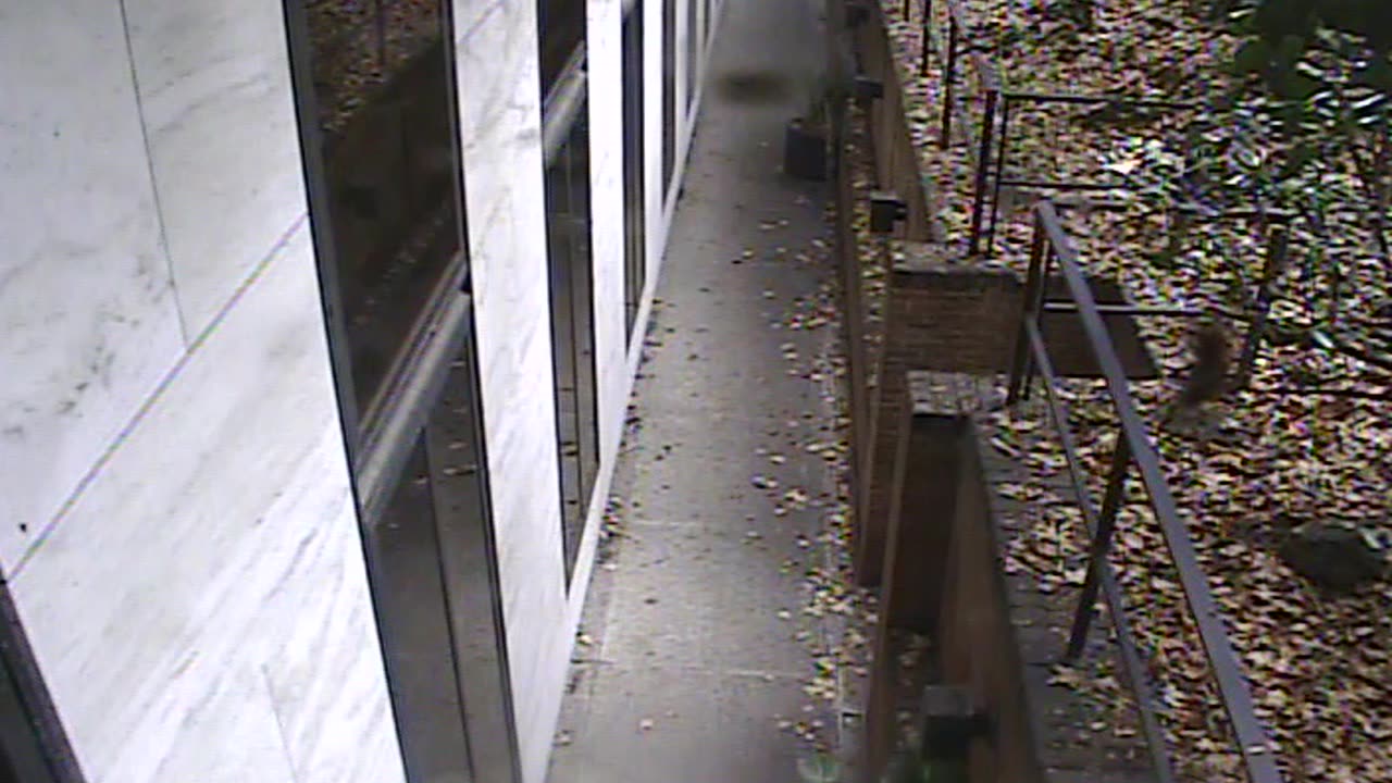 1457HSOB01GroundSoutheast_2021-01-06_11h04min05s160ms.mp4