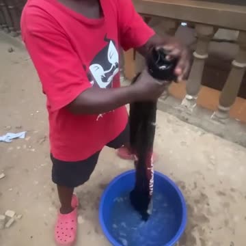 funny|prank|jokes|funny jokes|dad jokes|funny memes|funny video|fun|laughing|funny animal|knock 20