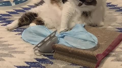 _He was trying to figure out how to fix what he did!