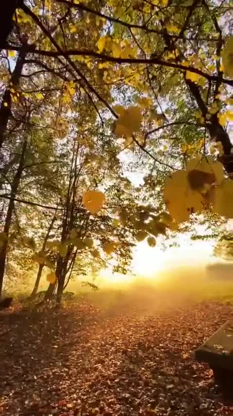 the beautiful nature