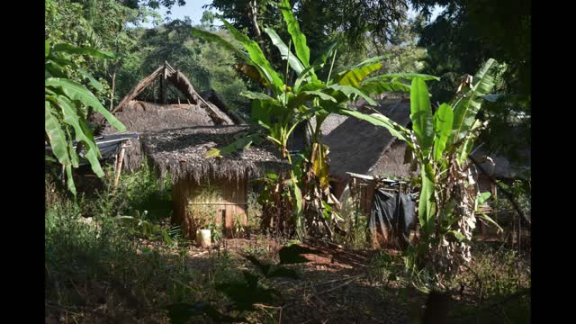 Long Neck Tribe. Chiang Mai, Thailand. As Seen On Nat Geo
