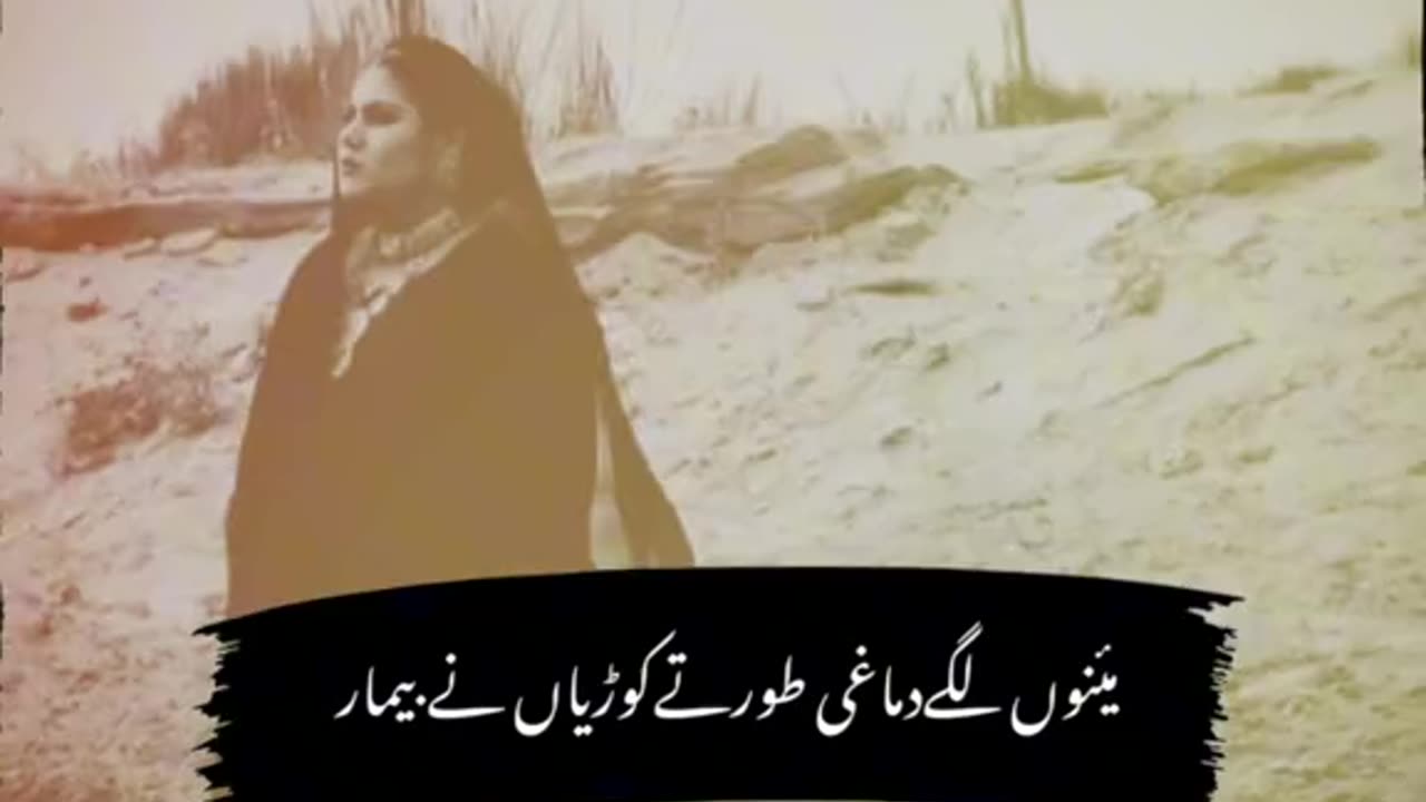 Punjabi song true line