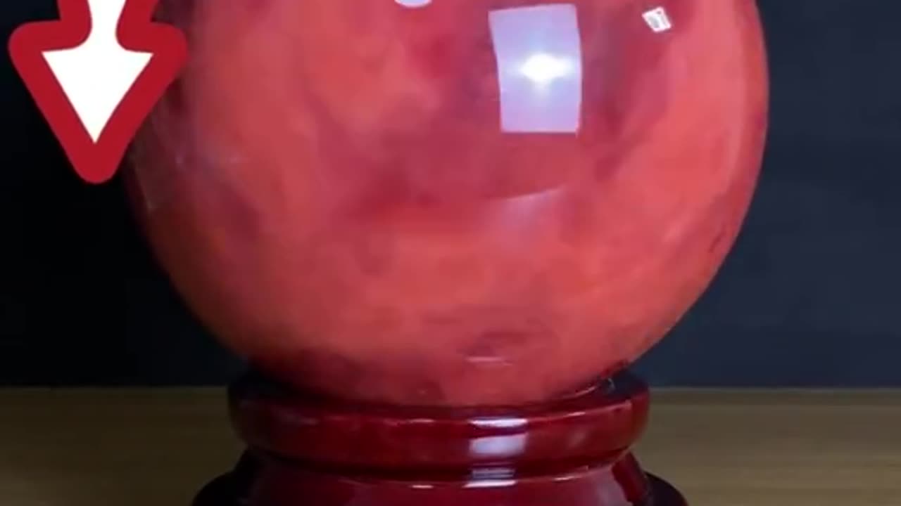DL Panda Viral Videos On Internet
