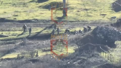 A whole herd of Ukraine was captured in the Luhansk direction