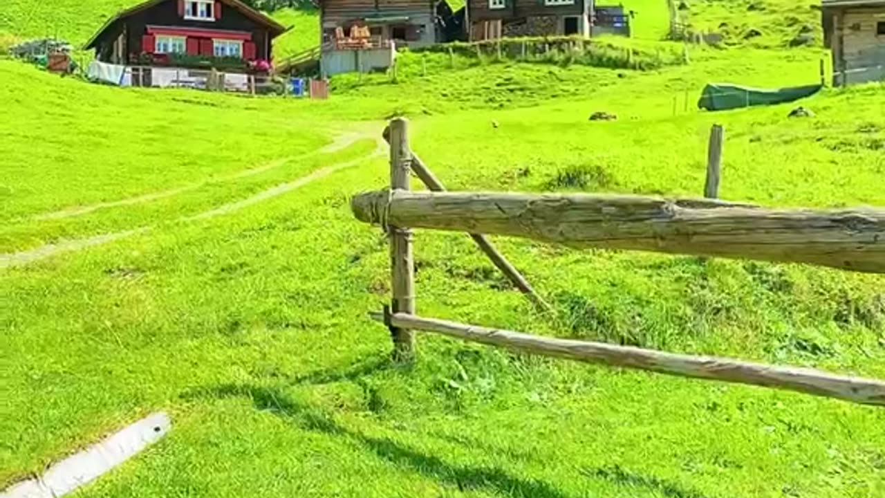 Nature