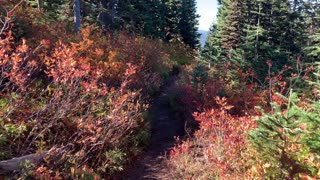 Oregon – Mount Hood – The Warm Shades of Autumn