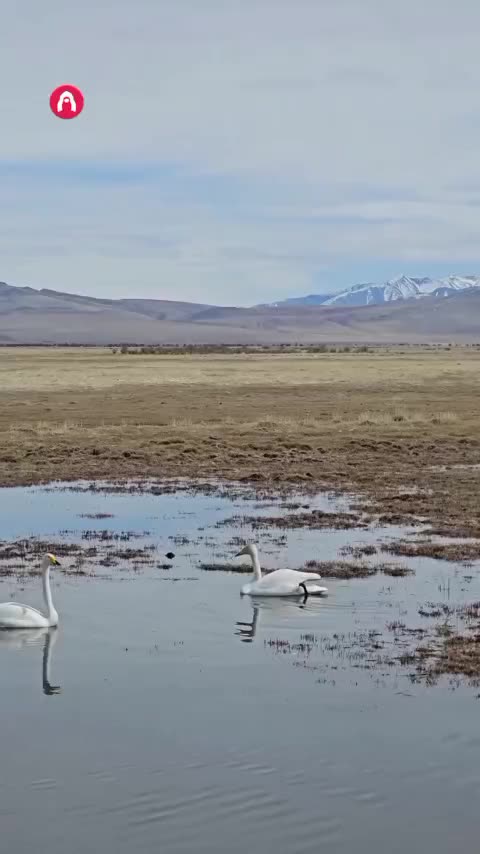 Awesome nature views and scenery