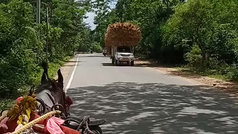 Horse Riding in india !!!