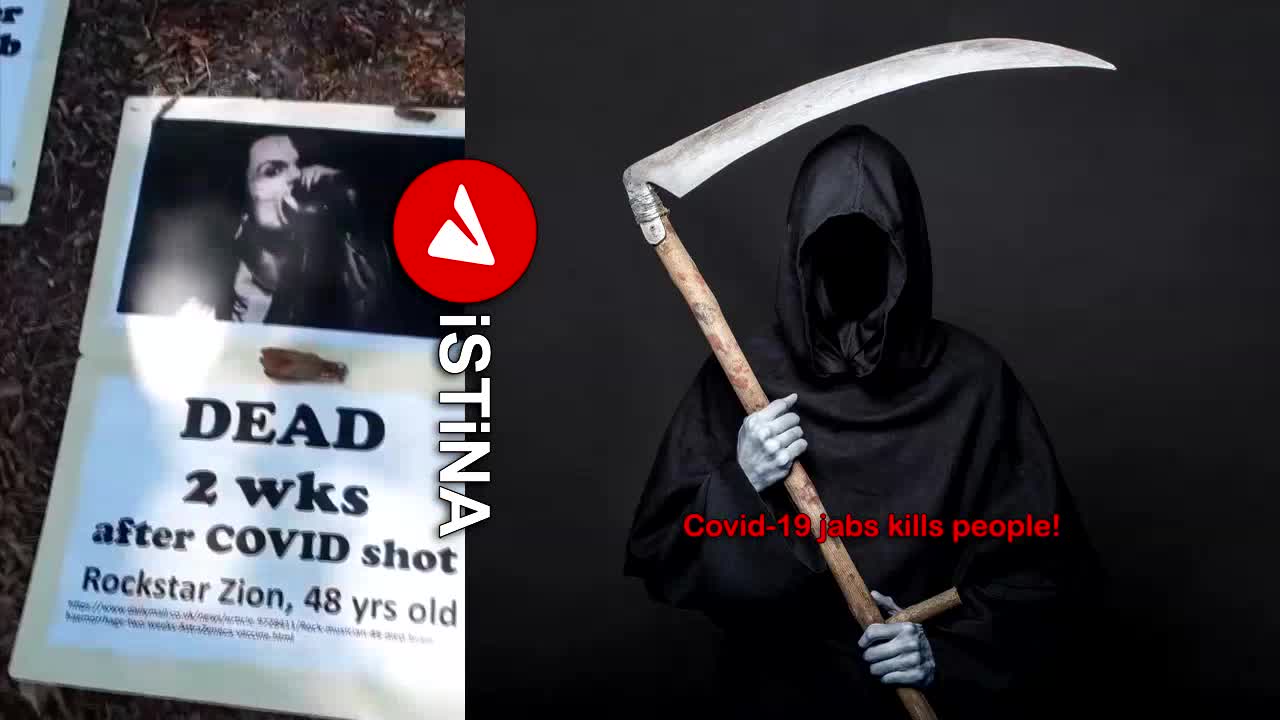 他們為自己的幼稚付出了生命的代價，因為他們信任政客和主流媒體！