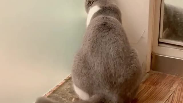 It's callingmom😱😍🥰