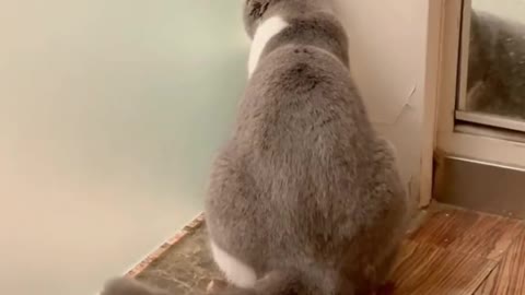 It's callingmom😱😍🥰