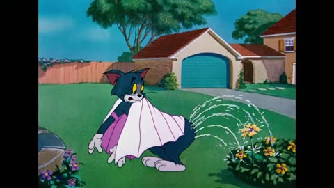 Tom &Jerry