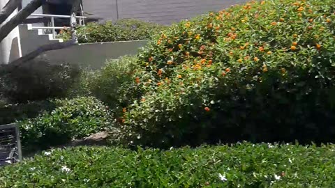 The LA Science Center Part 1