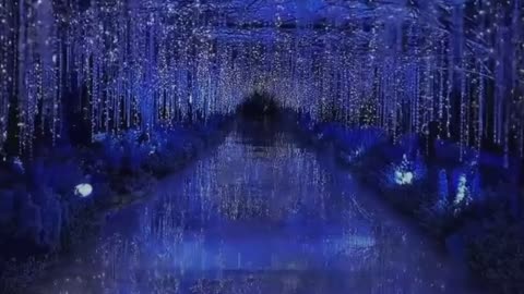 Perfect Blue Decoration Is Beautiful