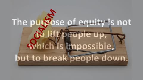 Equality = Violence