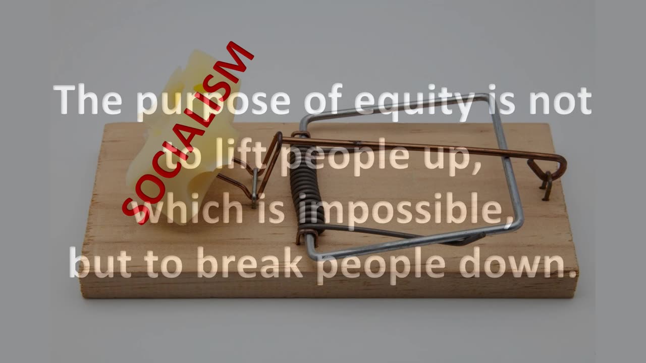 Equality = Violence
