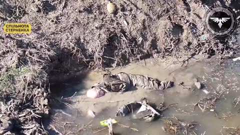 A wounded Russian soldier tried to hide in a water filled shell hole from fpv drone