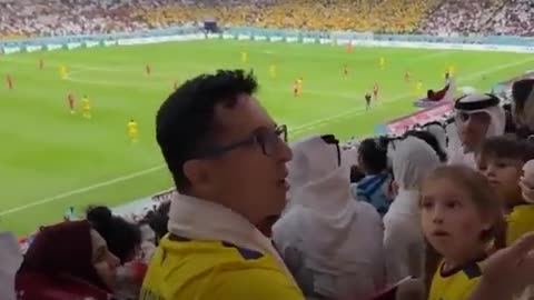 Viral Video of Fans Arguing - What Happened Next?