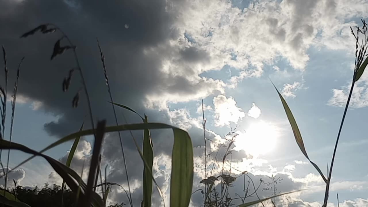 Enya - Shepherd Moons