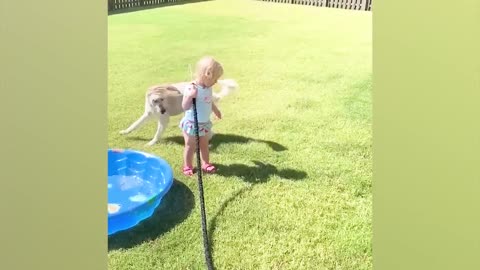 Funny Babies playing with water