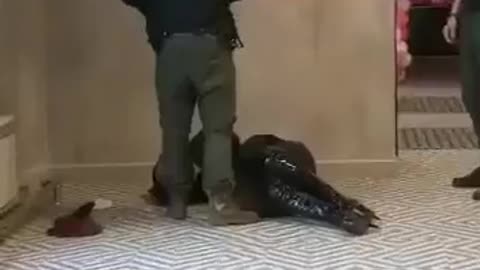 Antifa in Russia.