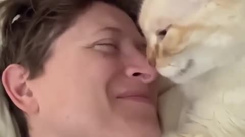 Furball Love