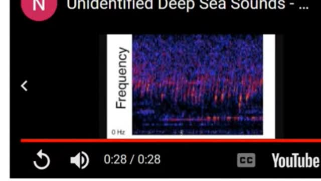 Weird under water sounds are most like steam vents from underwater volcanoes plates not craft