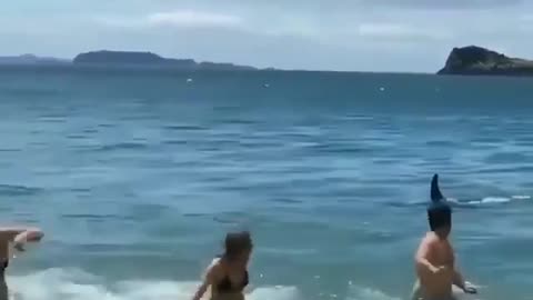 Shark Chases Swimmers