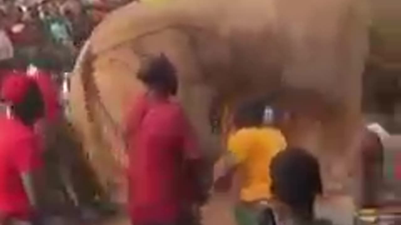 Ezeiyi Umuoji Cultural Festival In Anambra State, Held Periodically