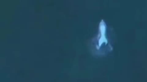 Mermaid filmed by drone swimming in ocean