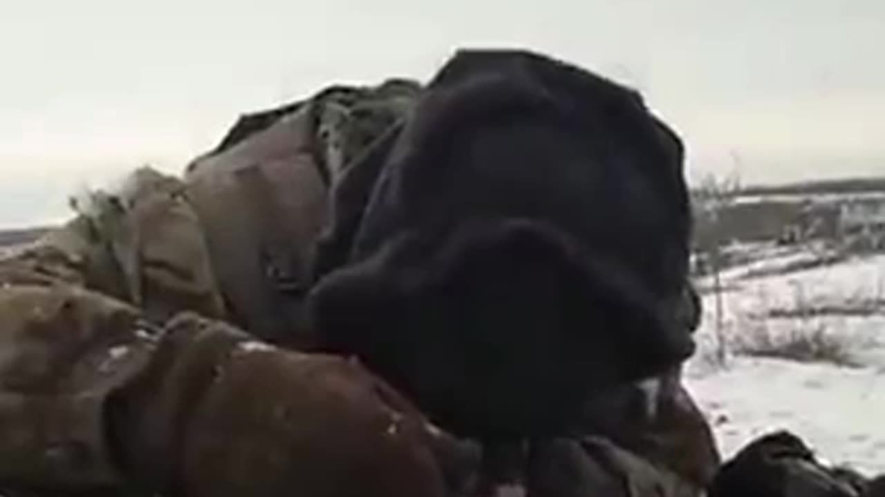 So Close Yet So Far