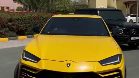 Mercedes Benz big g # Lamborghini urus # car sharing