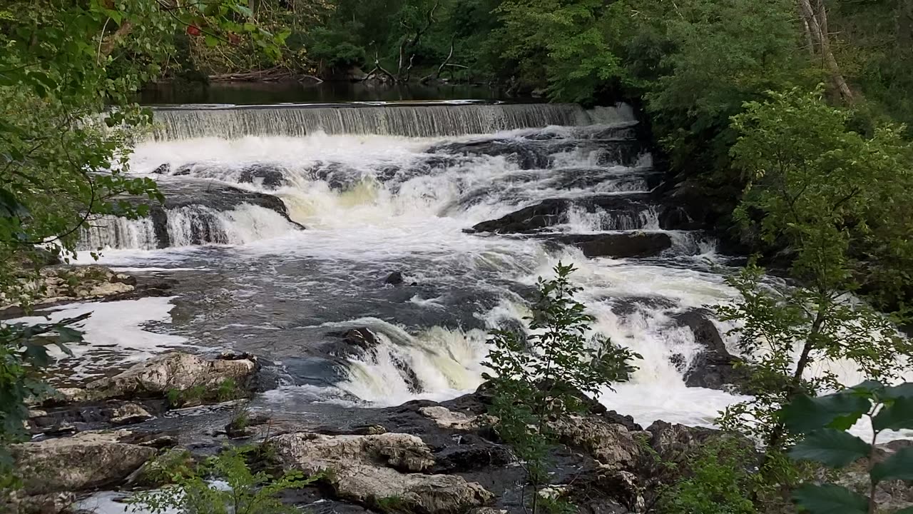 Madam Brett Park & Marsh Trail (Beacon, NYS) 5