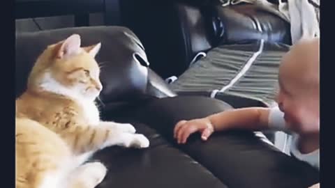 Cat playing with baby